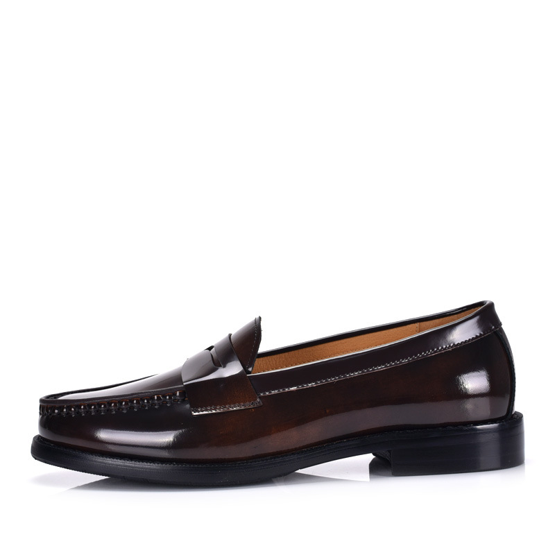 Men's All-Day Comfort Penny Lo - đánh giá và giá Leather Shoe Polish