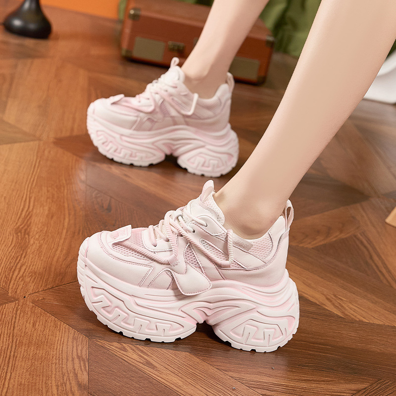 Inner Heightening Shoes for Wo - đánh giá và giá Shoe Brush