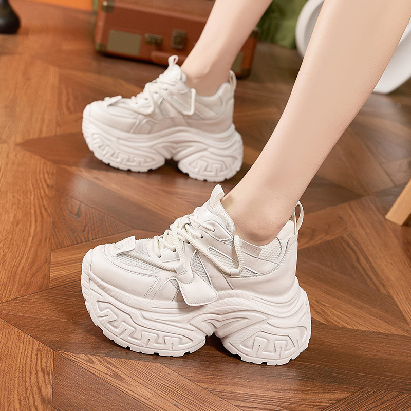 Inner Heightening Shoes for Wo - đánh giá và giá Shoe Brush